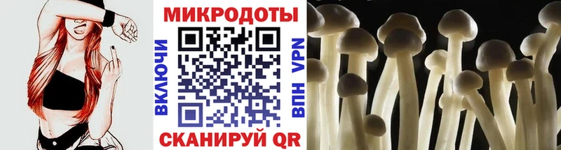 Псилоцибиновые грибы мицелий  Сасово 